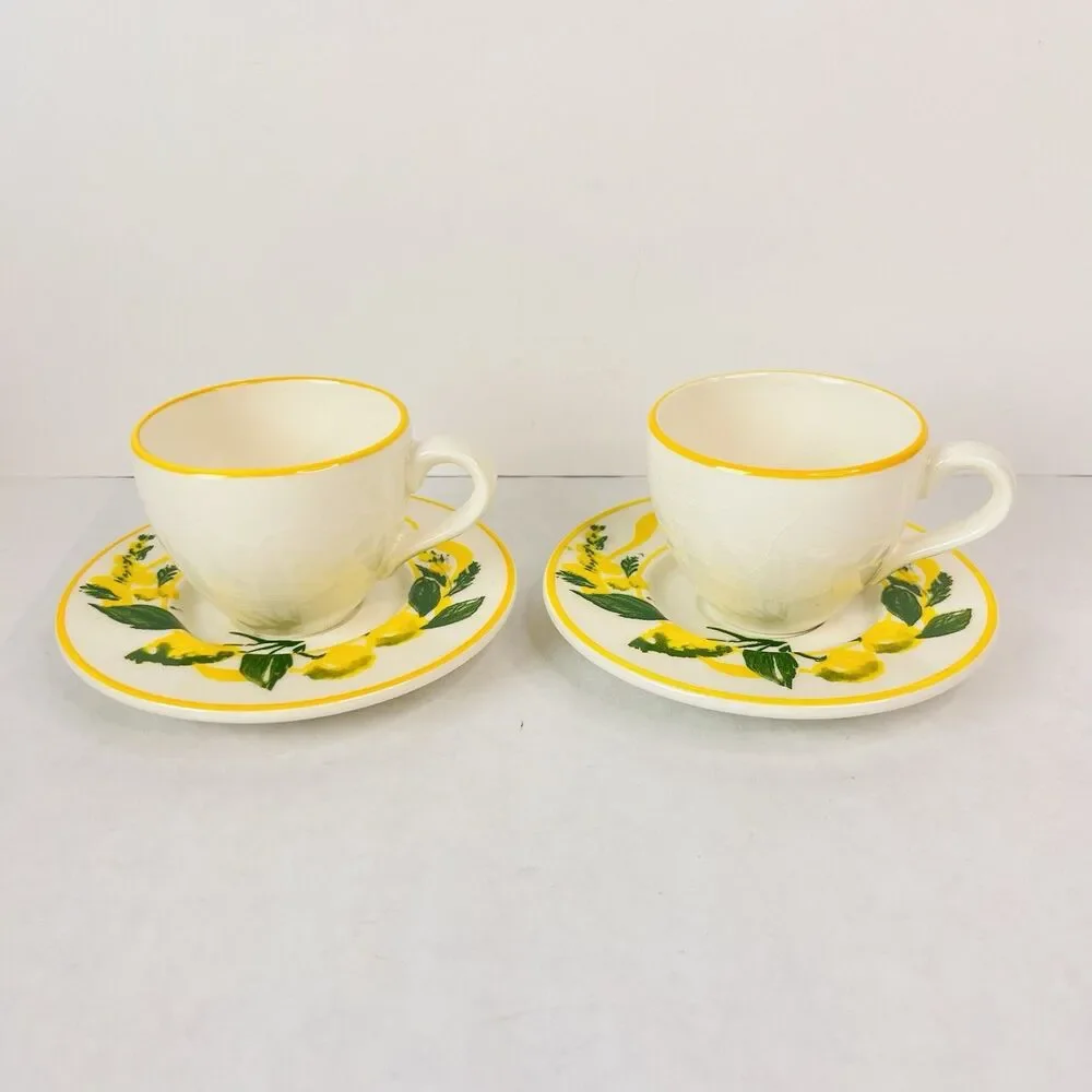 Vintage Pagnossin Treviso 
